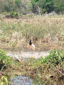 Příroda nedaleko hostelu
