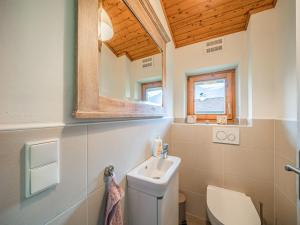 a bathroom with a sink and a toilet and a mirror at Tauernhaus Madelief in Piesendorf +31 photos