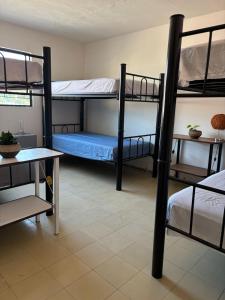 Hostal Casa Herrera في غواذالاخارا: غرفة بها ثلاثة أسرة بطابقين وطاولة