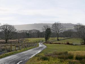 Naturlandskabet i nærheden af feriehuset