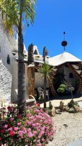 En have udenfor Floresta Concón Mantagua