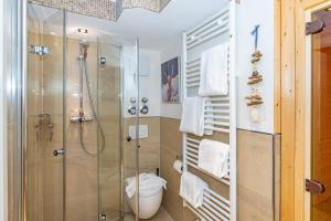 a bathroom with a shower and a toilet at Godewind App 5 in Westerland +16 photos