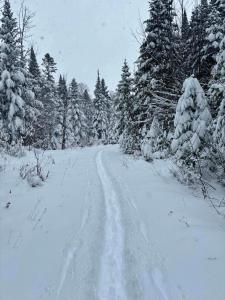 a snow covered road in a forest with trees at Le Belvédère - Retraite scandivane in Saint Adolphe D'Howard