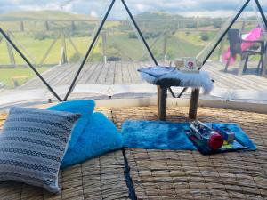 Природа в окрестностях люкс-шатра