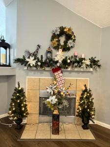 A Beautiful Home in Dallas-Fort Worth في غراند براري: غرفة معيشة مع مدفأة وأشجار عيد الميلاد