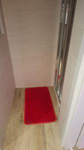 ein roter Teppich liegt auf dem Boden in einem Zimmer in der Unterkunft Casa Giulia in Triest