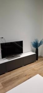 einen Flachbild-TV auf einem Entertainment-Center in der Unterkunft Casa Giulia in Triest