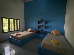 two beds in a room with blue walls at Buena Onda Backpackers in San Juan del Sur +119 photos