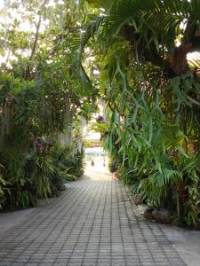 Ouychai Home stay resort في شيانغ ماي: ممشى في حديقة فيها اشجار ونباتات