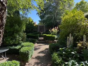 a garden with bushes and trees and a bench at Gladstone House in Beechworth +12 photos