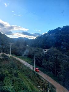 Naturlandskabet i nærheden af lejligheden