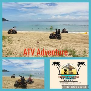 Příroda nedaleko chaty