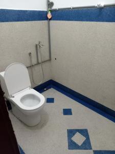 a bathroom with a toilet and a shower at Mok House - Unit 1 in Kuala Terengganu