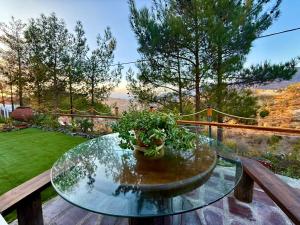 uma mesa de vidro com um vaso de plantas numa varanda em Gazingstars Cottages Agridia 