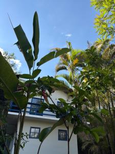 a white building with trees in front of it at Pousada Dom Luiz in Ouro Preto +51 photos