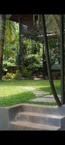 Zahrada ubytování NEST nature homestay + 6 fotografií