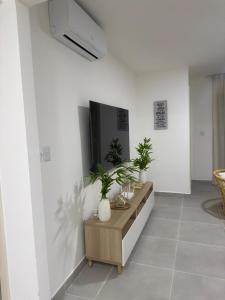 een woonkamer met een tafel met planten erop bij Palmera 402 in Punta Cana