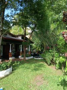 Zahrada ubytování MRO Sigiriya Village Homestay & Hostel + 21 fotografií