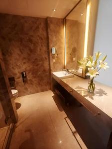 ein Badezimmer mit Waschbecken, Spiegel und Toilette in der Unterkunft Greenland Mansion in Shanghai