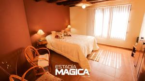 Quinta Jensen في سان رافاييل: غرفة نوم عليها سرير وعليها كلبين +17 صورة