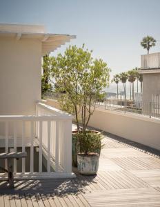 un balcón con un árbol y una barandilla blanca en Gjelina Hotel, en Los Ángeles