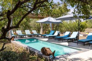 Bazén v ubytování Lindiwe Safari Lodge nebo v jeho okolí