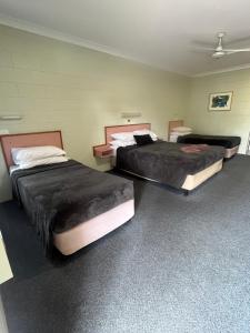 Una cama o camas en una habitación de Yungaburra Park Motel