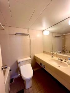 a bathroom with a toilet and a sink at 波浮とみや 全部屋個室 伊豆大島 in Oshima +25 photos