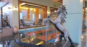 Άλλα ζώα σε αυτό το ξενοδοχείο ή στη γύρω περιοχή