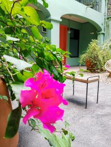 a pink flower next to a bench in front of a house at Un Sueño Valle de Huajes in Oaxaca City