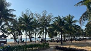 uma praia com palmeiras e guarda-sóis e o oceano em Hotel Amber View Beach Vinwonder Safari VietNam em Duong Dong