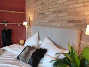 Billede fra billedgalleriet på Casa Vella del Panta i Ríudecañas + 34 billeder