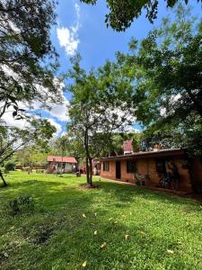 a house with a tree in the yard at Bungalow Hostel Iguazú in Puerto Iguazú