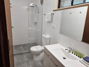 a bathroom with a toilet and a shower and a sink at Majestic Motel in Horsham