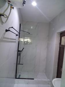 Agape Villa Luxury Apartments في بنين سيتي: دش مع باب زجاجي في الحمام