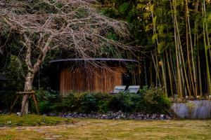 En have udenfor RICKA Katsuura