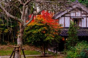 a house with a tree in front of it at RICKA Katsuura in Katsuura