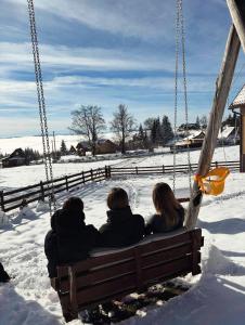 Το BiSER PANČIĆA τον χειμώνα