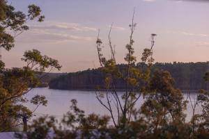 ManyanaにあるLakeview at Berringerの木々が茂る湖の景色
