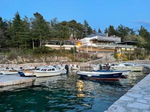 Příroda nedaleko apartmánu