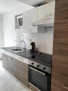 Kuchyň nebo kuchyňský kout v ubytování Apartman Dramalj