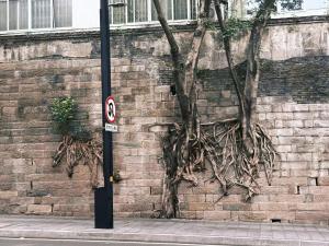 Fotografie z fotogalerie ubytování 落脚城市青年旅舍 v destinaci Čchung-čching