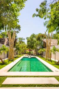 a swimming pool in a yard with trees at Tulum Private Villa, Weddings, Retreats, Groups in Tulum