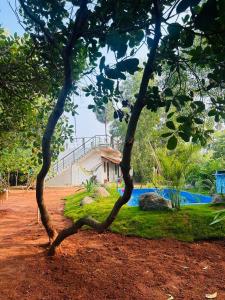 a tree in the dirt with a house in the background at Cozy haven in Auroville