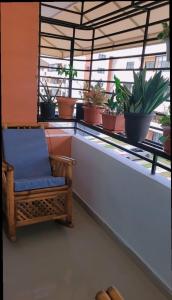 Et opholdsområde på Sunshine paradise