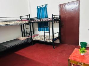a room with two bunk beds and a red carpet at Cozy haven in Auroville