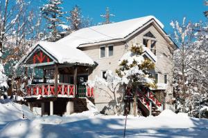 a house covered in snow in front at Chalet GOROU in Hakuba