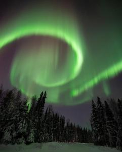 Φωτογραφία από το άλμπουμ του Borealis Bungalow σε Φέρμπανκς