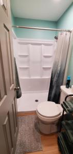 a bathroom with a toilet and a shower at Borealis Bungalow and Hot Tub in Fairbanks