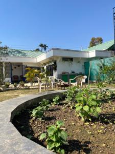 Zahrada ubytování ClubGreens + 20 fotografií